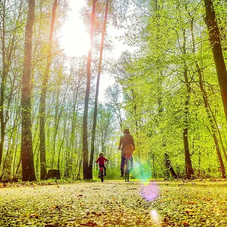 Bungis - 28 Ferienhaeuser Am Grimnitzsee G2