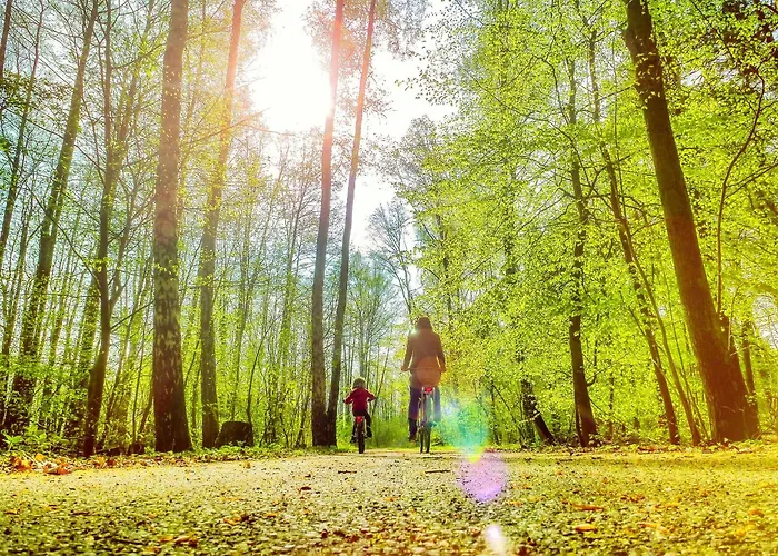 Bungis - 28 Ferienhaeuser Am Grimnitzsee G2